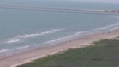 South Padre Island Texas Usa Webcams