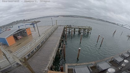 Newport - Sea Lion Docks, Oregon (USA) - Webcams