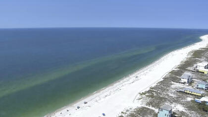 Orange Beach - Phoenix Gulf Towers, Alabama (USA) - Webcams