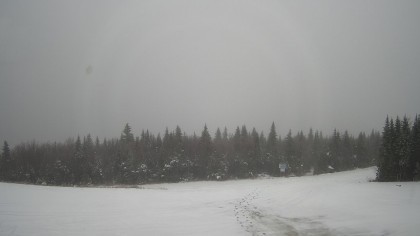 Le Massif, Canada - Webcams